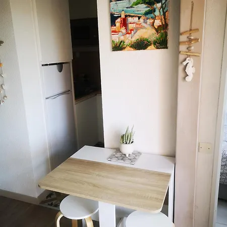T2 Résidence Piscine Et Direct