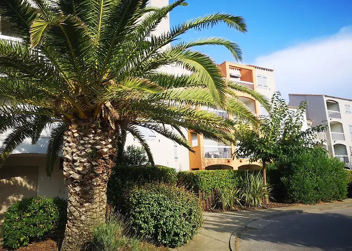 T2 Piscine Et Direct *